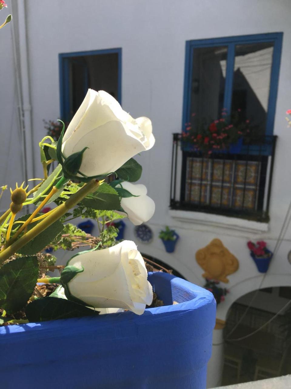 Seneca Hostel Кордоба Екстериор снимка